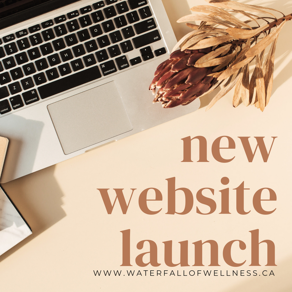 Celebrating six months with an updated website!